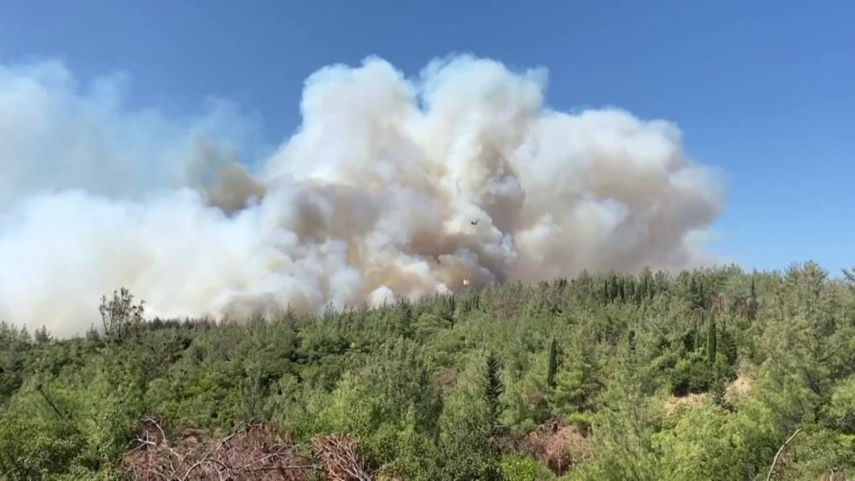 2025’te 6 bin 800 orman yangınıyla mücadele ettik