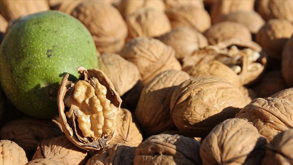 Anti-Kanser Odaklı Beslenme: Doğru Gıdalarla Savunmayı Güçlendirme