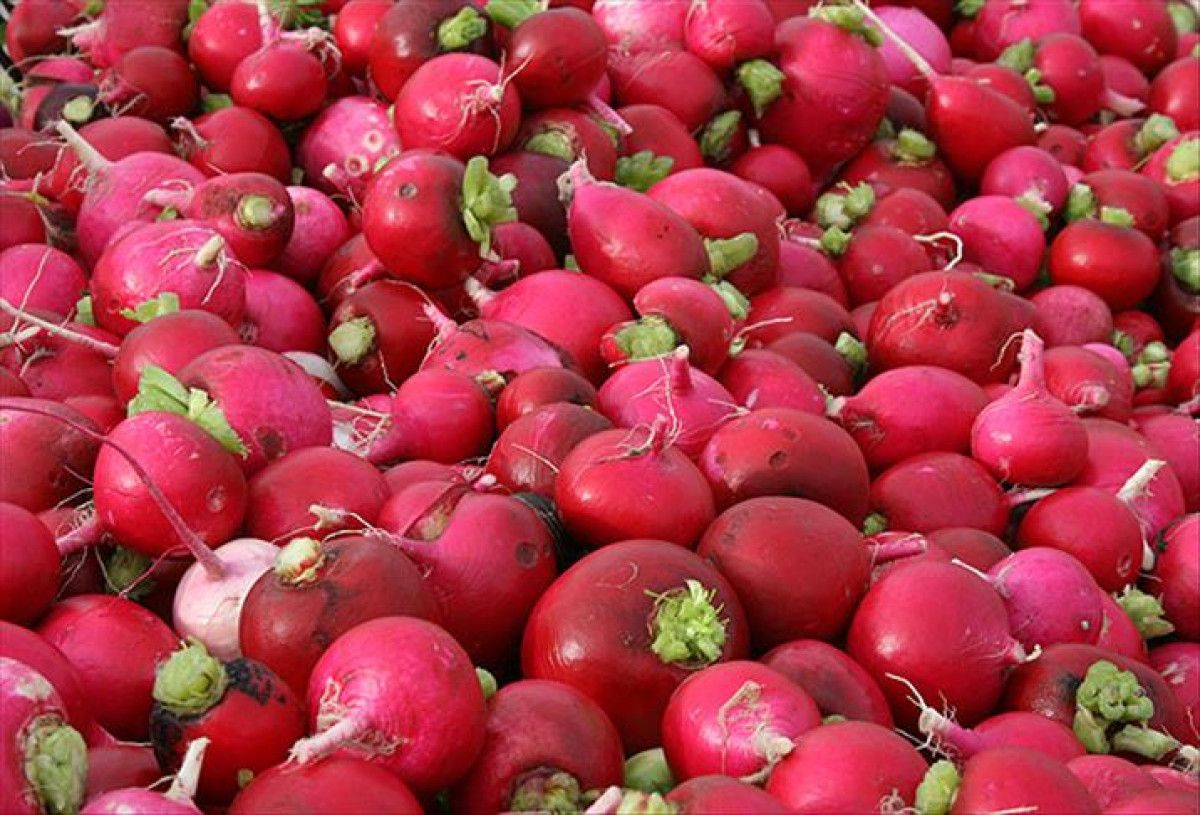 Kırmızı Turpun Sağlık Dolu Yararları: Bağışıklık, Sindirim ve Cilt İçin Önemli Bilgiler