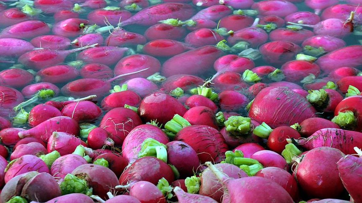 Kırmızı Turpun Sağlık Dolu Yararları: Bağışıklık, Sindirim ve Cilt İçin Önemli Bilgiler
