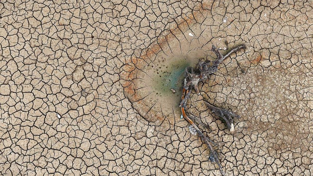 Kuraklığın Bedeli: Gölbaşı Göleti ve Tarımsal Kaybın Günlük Izleri