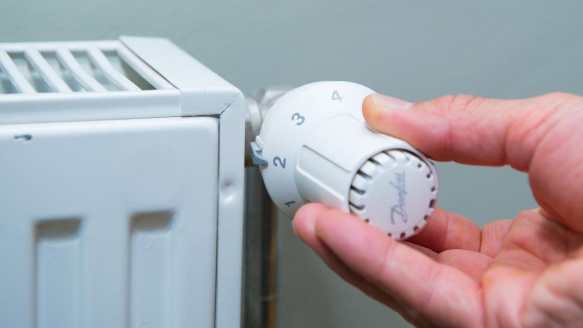 Kışa Hazırlık: Petekleri Hızlı ve Verimli Şekilde Devreye Alma Rehberi