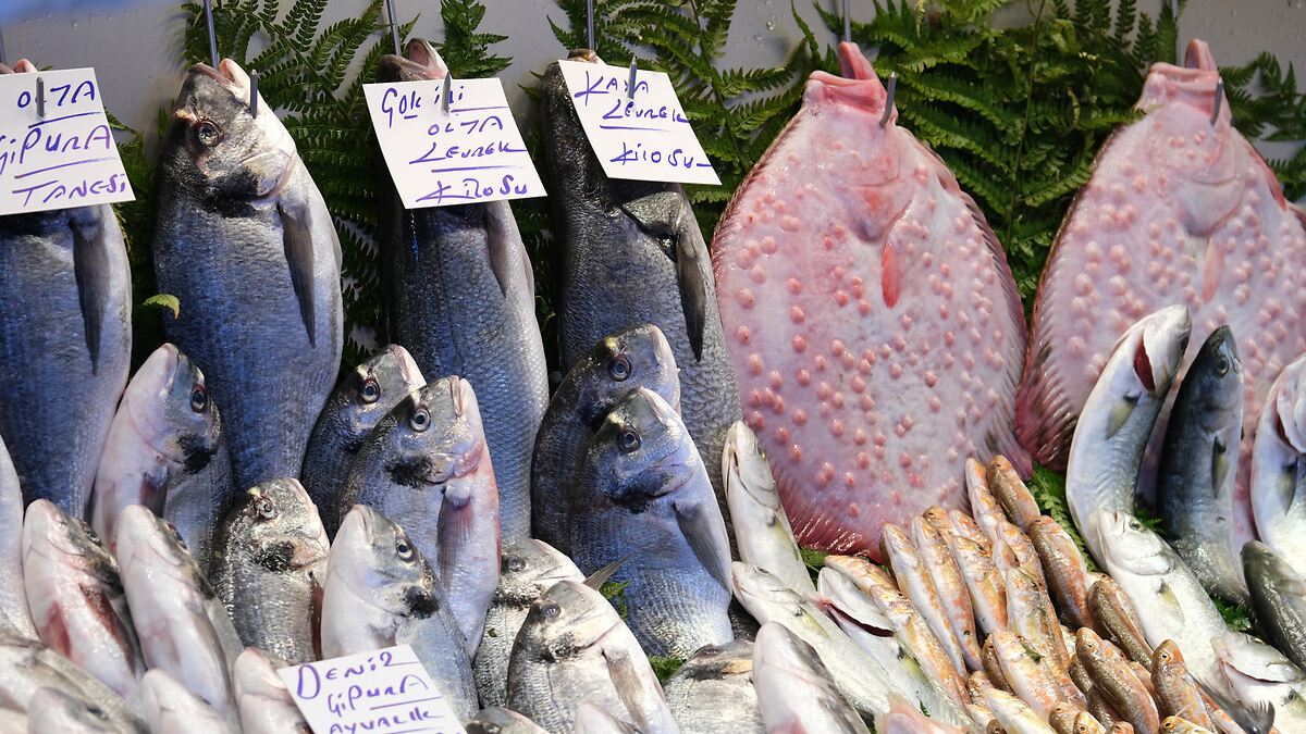 Sağlığa binbir faydaları var