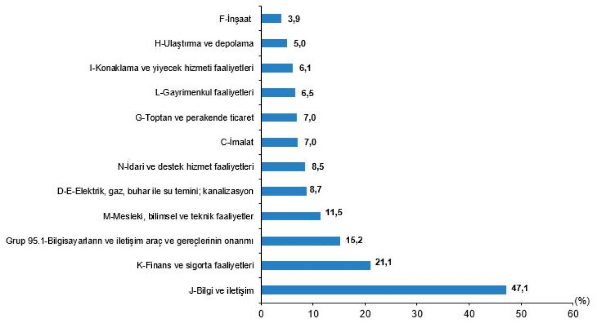 Türkiye’de Yapay Zeka Kullanımı: TÜİK Verileriyle Girişimler ve Bireyler Üzerinden Derinlemesine İnceleme