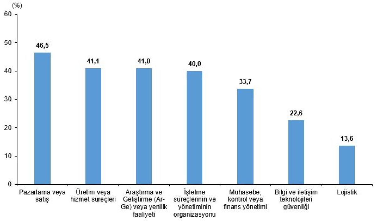 Türkiye’de Yapay Zeka Kullanımı: TÜİK Verileriyle Girişimler ve Bireyler Üzerinden Derinlemesine İnceleme