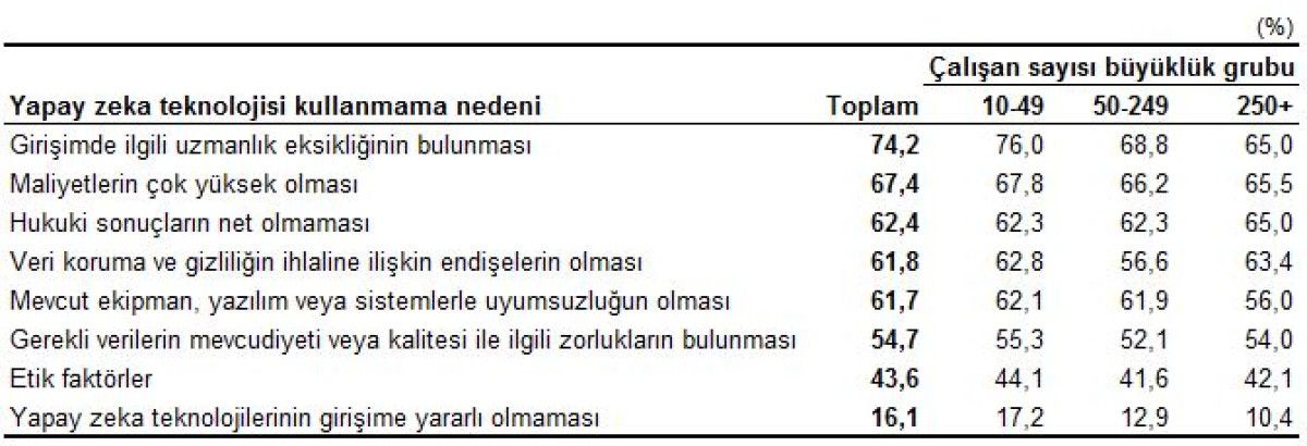 Türkiye’de Yapay Zeka Kullanımı: TÜİK Verileriyle Girişimler ve Bireyler Üzerinden Derinlemesine İnceleme