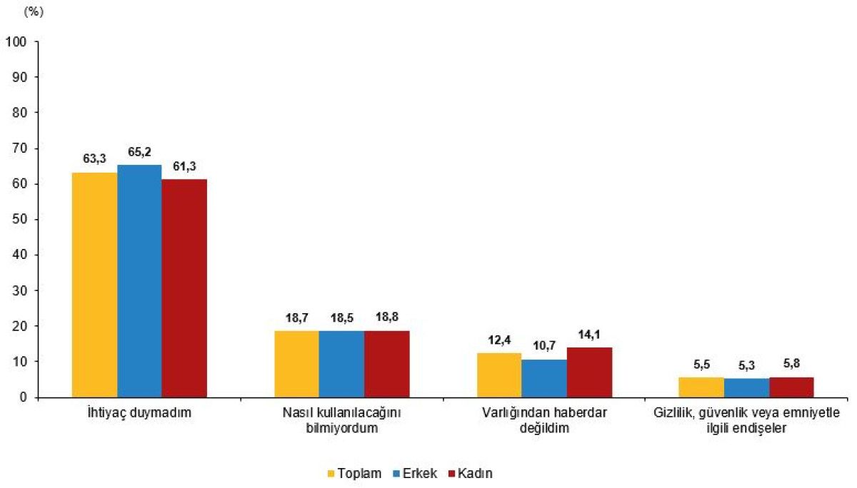 Türkiye’de Yapay Zeka Kullanımı: TÜİK Verileriyle Girişimler ve Bireyler Üzerinden Derinlemesine İnceleme