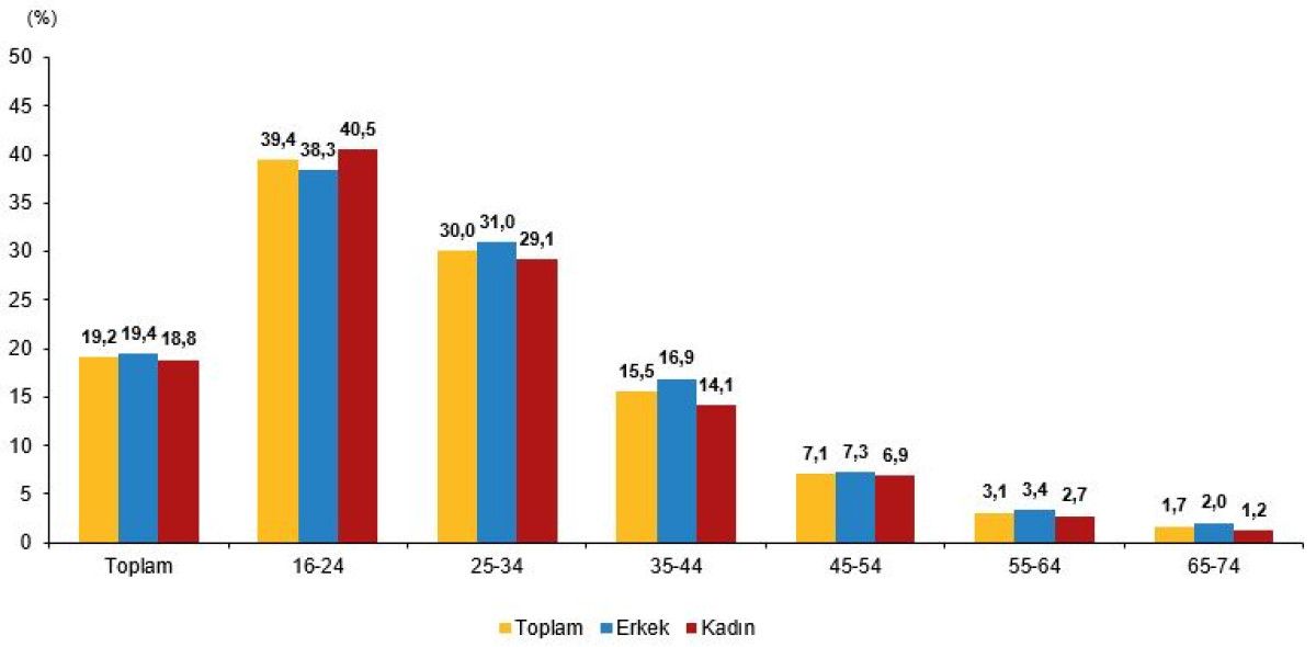 Türkiye’de Yapay Zeka Kullanımı: TÜİK Verileriyle Girişimler ve Bireyler Üzerinden Derinlemesine İnceleme