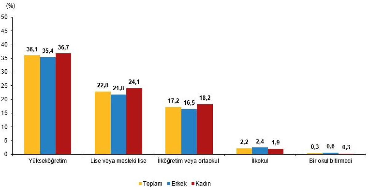 Türkiye’de Yapay Zeka Kullanımı: TÜİK Verileriyle Girişimler ve Bireyler Üzerinden Derinlemesine İnceleme