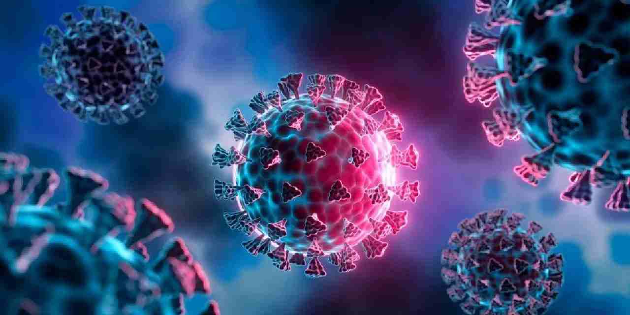 Yeni salgın alarmı! Kuş gribi can aldı