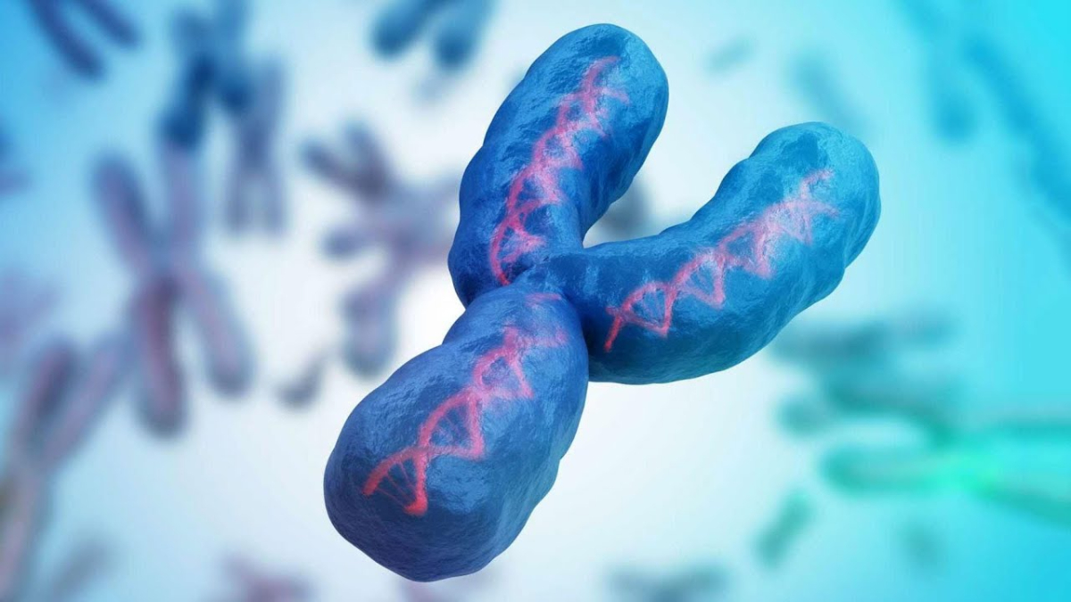 “Erkekler bitecek” iddiası!