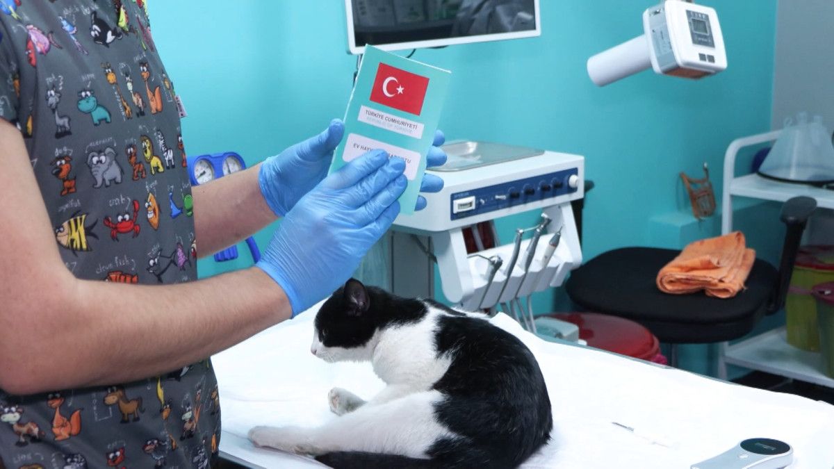 PETVET Sistemiyle Evcil Hayvan Kayıt Zorunluluğu: Çip Uygulaması ve Takip Çalışmaları