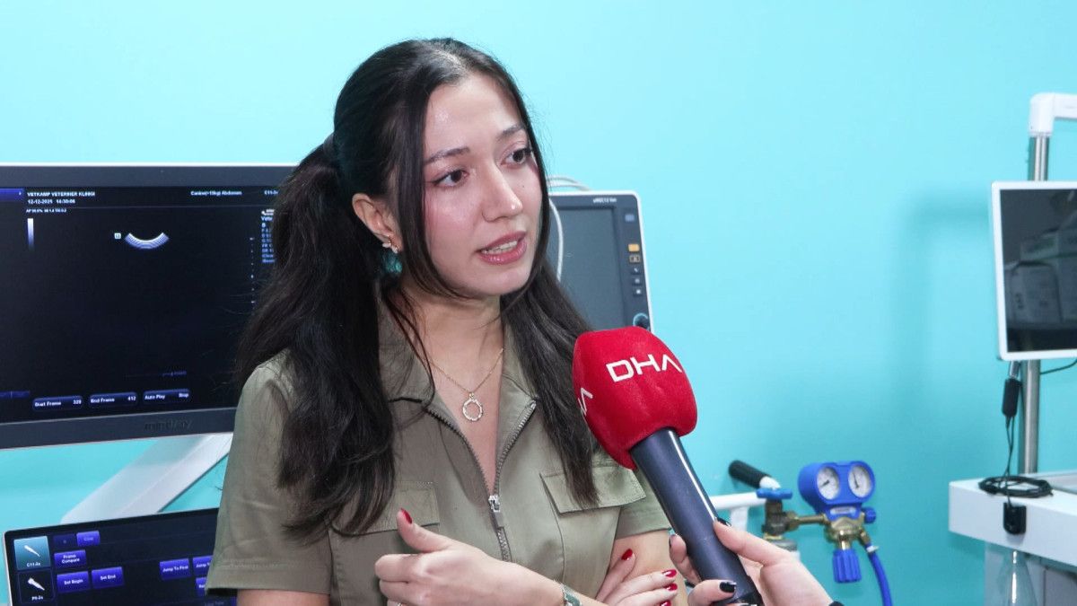 PETVET Sistemiyle Evcil Hayvan Kayıt Zorunluluğu: Çip Uygulaması ve Takip Çalışmaları