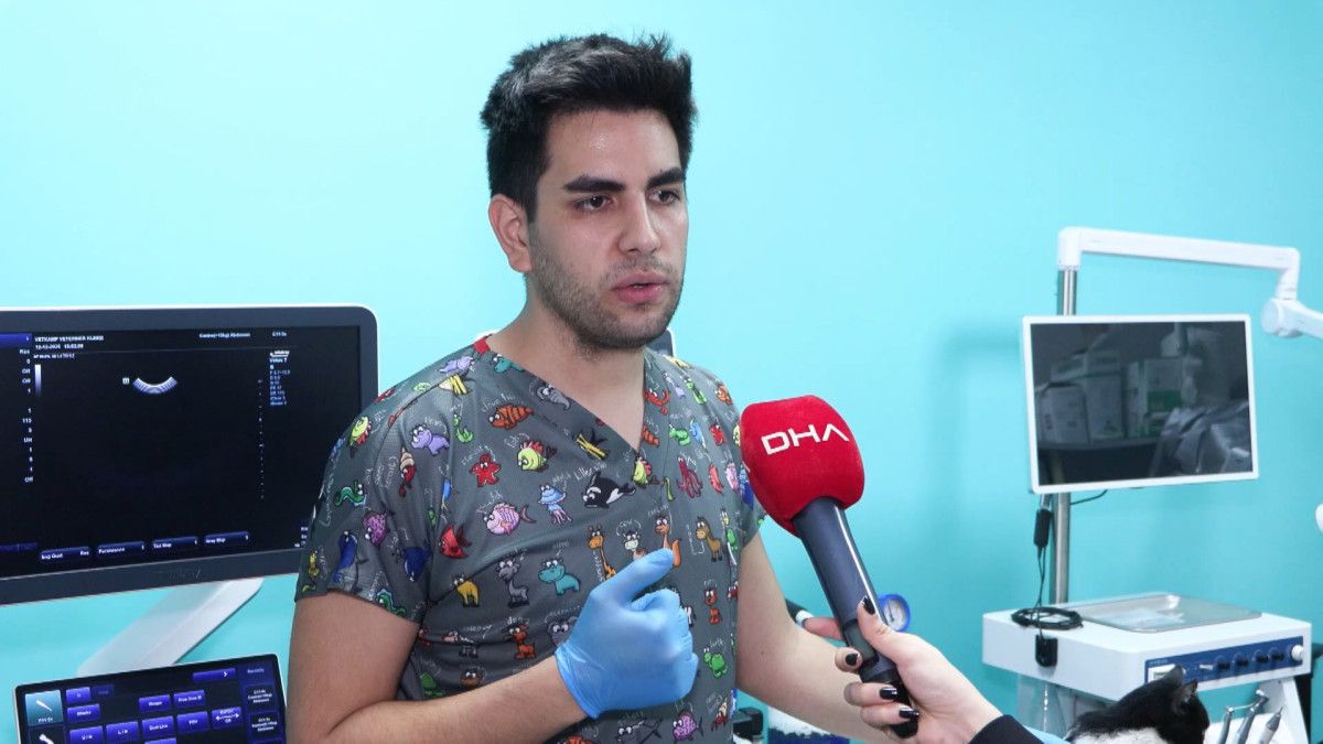 PETVET Sistemiyle Evcil Hayvan Kayıt Zorunluluğu: Çip Uygulaması ve Takip Çalışmaları