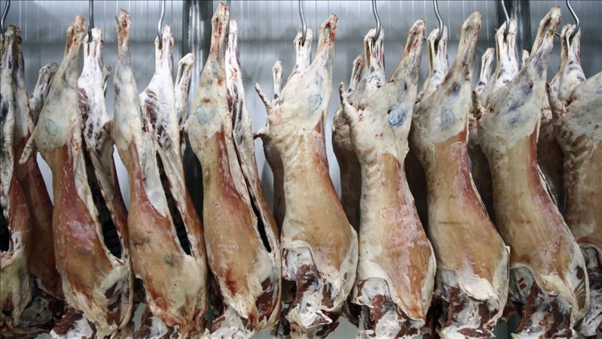 Et Fiyatlarındaki Dalgalanma ve Bakanlık Açıklamaları: Tarım Politikaları ve Üretici Destekleri