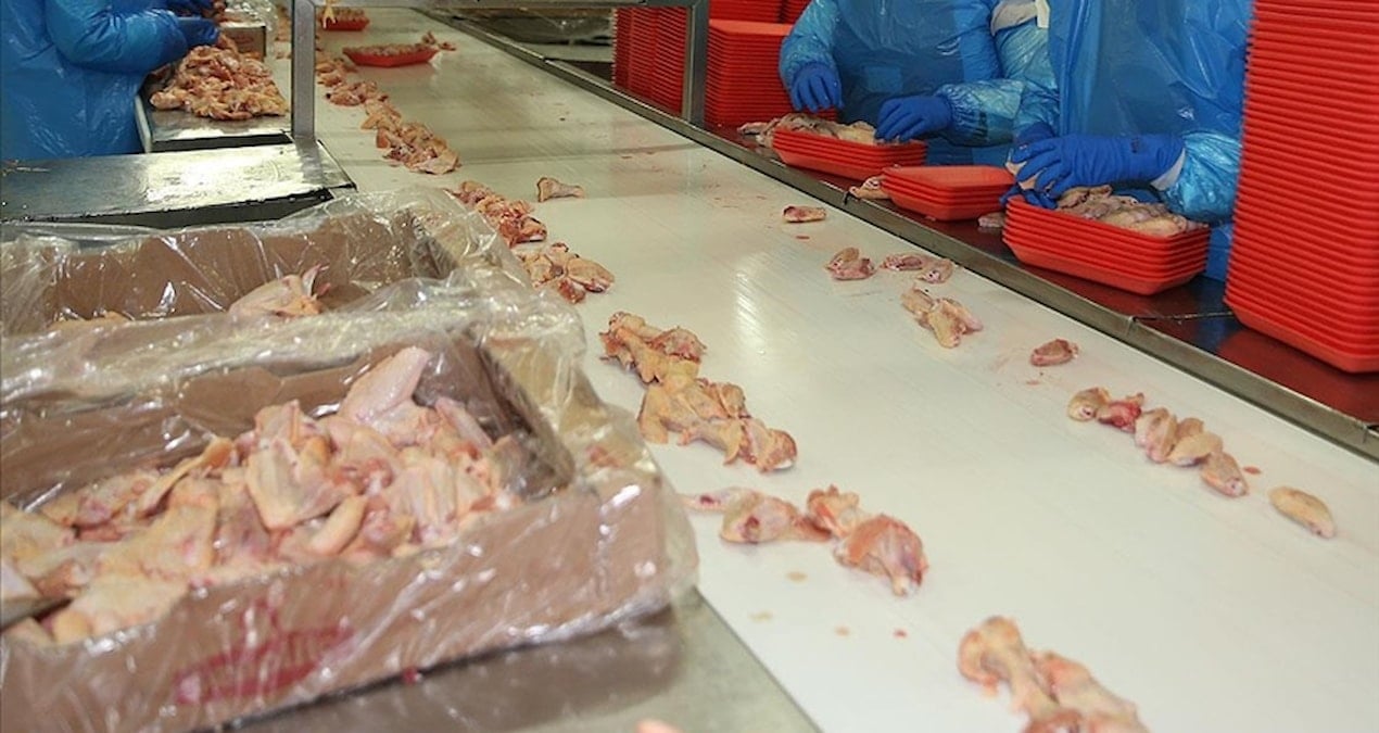 Tavuk eti ihracatı durduruldu