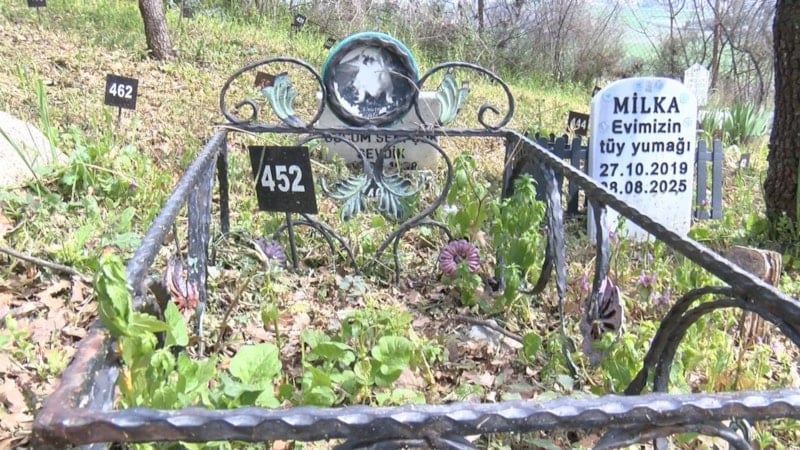 Sahipsiz Hayvan Mezarlığına Ziyaret: Zamanla Değişen Anılar ve Bayram Coşkusu