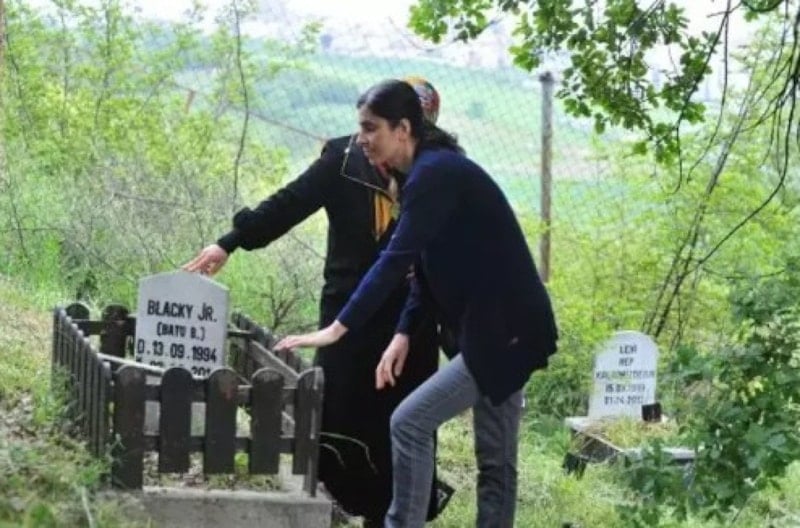 Sahipsiz Hayvan Mezarlığına Ziyaret: Zamanla Değişen Anılar ve Bayram Coşkusu