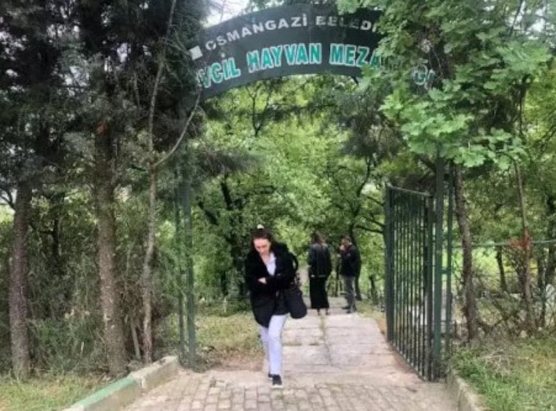 Sahipsiz Hayvan Mezarlığına Ziyaret: Zamanla Değişen Anılar ve Bayram Coşkusu