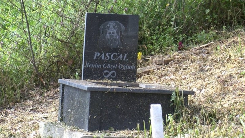 Sahipsiz Hayvan Mezarlığına Ziyaret: Zamanla Değişen Anılar ve Bayram Coşkusu