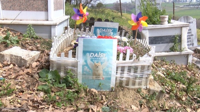 Sahipsiz Hayvan Mezarlığına Ziyaret: Zamanla Değişen Anılar ve Bayram Coşkusu