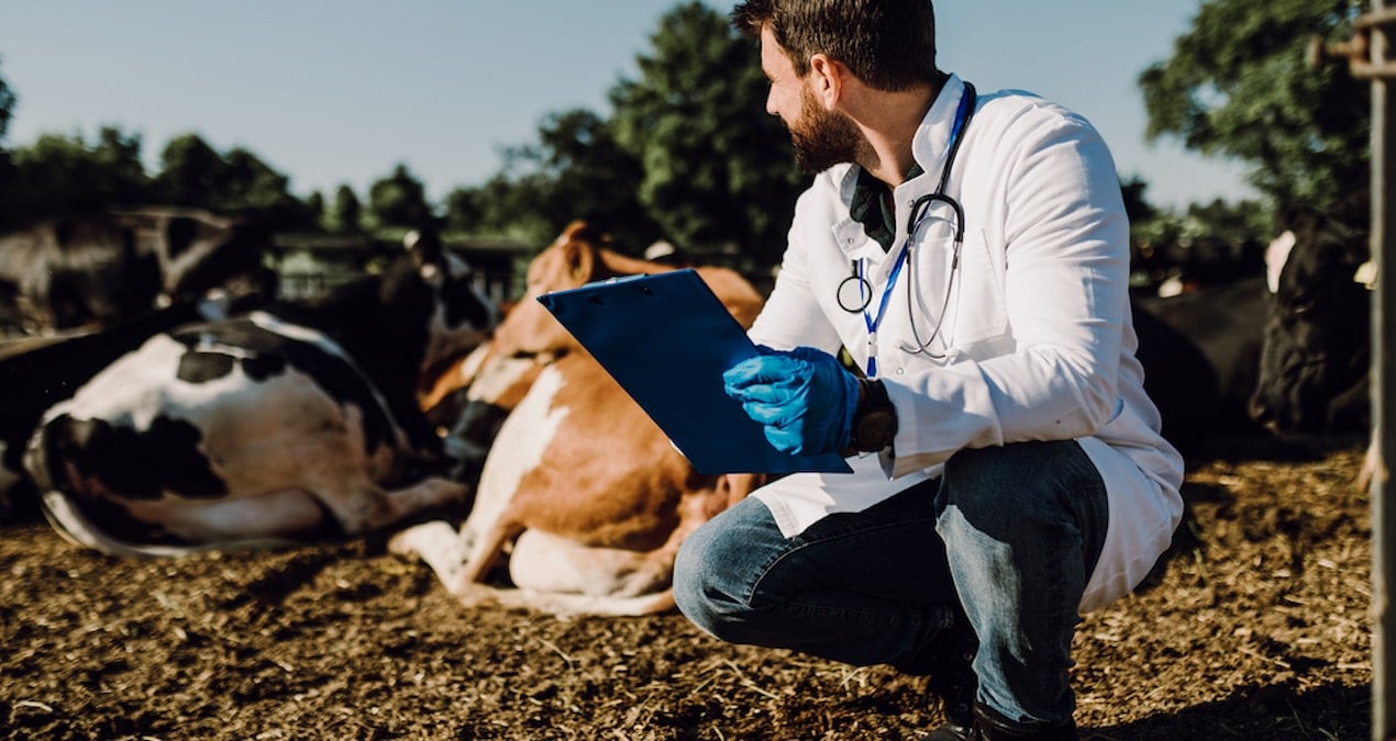 Emekliye ÖTV’siz araç: Kimler yararlanabilecek?