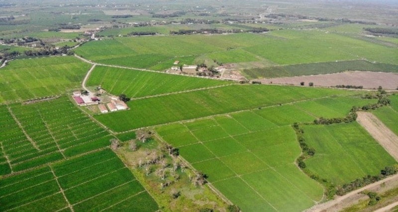 Tarımsal Arazide Ev Yapımında 5 Şart: Yasal ve Pratik Kılavuz