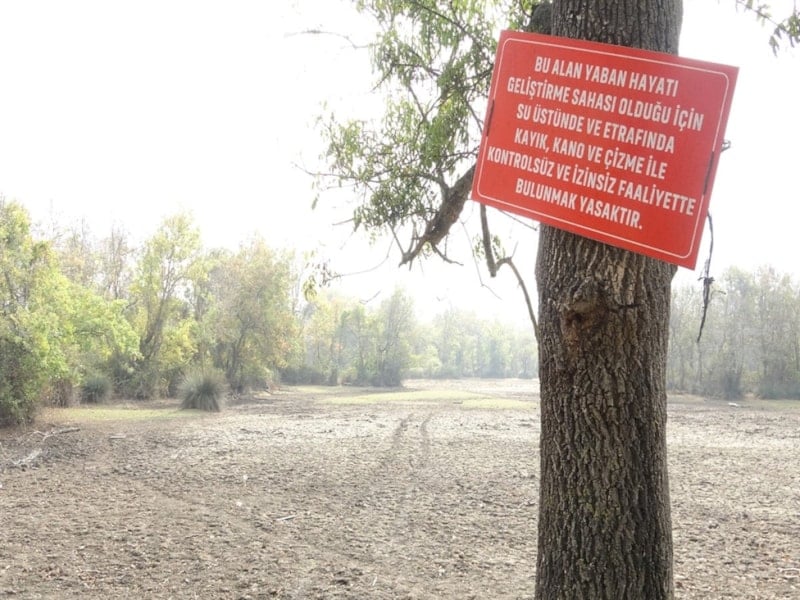 Karacabey Longozu’nda Su Seviyesi Yeniden Yükseliyor: Ekolojik Denge Geri Geliyor