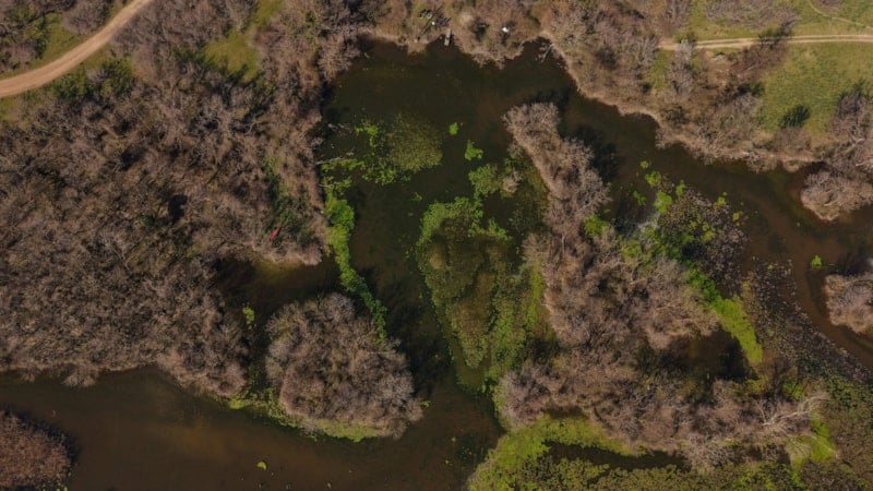 Karacabey Longozu’nda Su Seviyesi Yeniden Yükseliyor: Ekolojik Denge Geri Geliyor