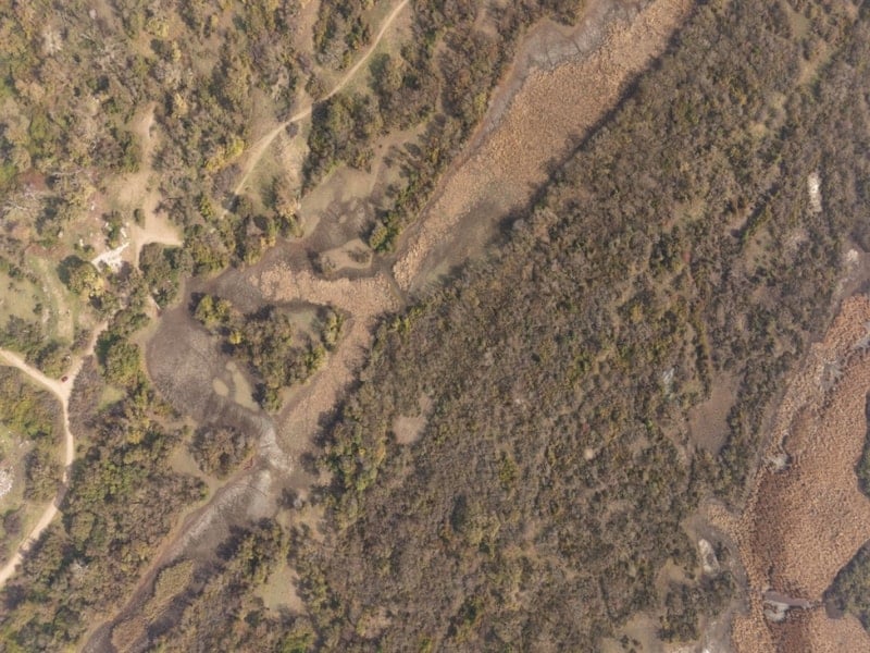 Karacabey Longozu’nda Su Seviyesi Yeniden Yükseliyor: Ekolojik Denge Geri Geliyor