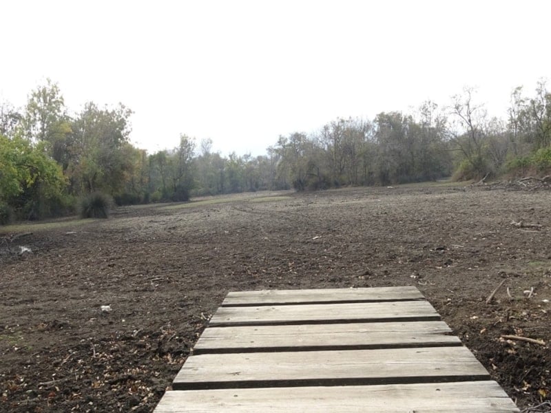 Karacabey Longozu’nda Su Seviyesi Yeniden Yükseliyor: Ekolojik Denge Geri Geliyor