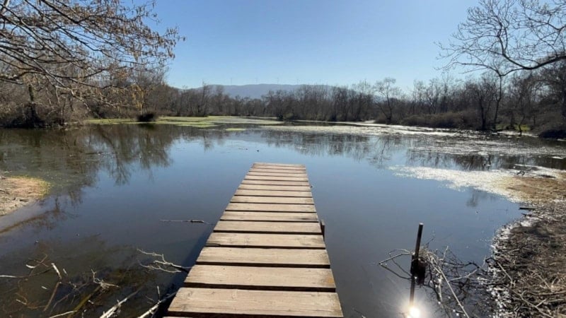Karacabey Longozu’nda Su Seviyesi Yeniden Yükseliyor: Ekolojik Denge Geri Geliyor