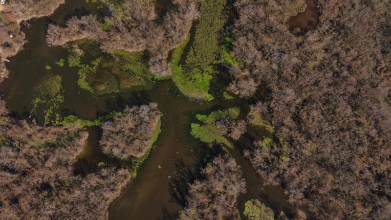 Karacabey Longozu’nda Su Seviyesi Yeniden Yükseliyor: Ekolojik Denge Geri Geliyor