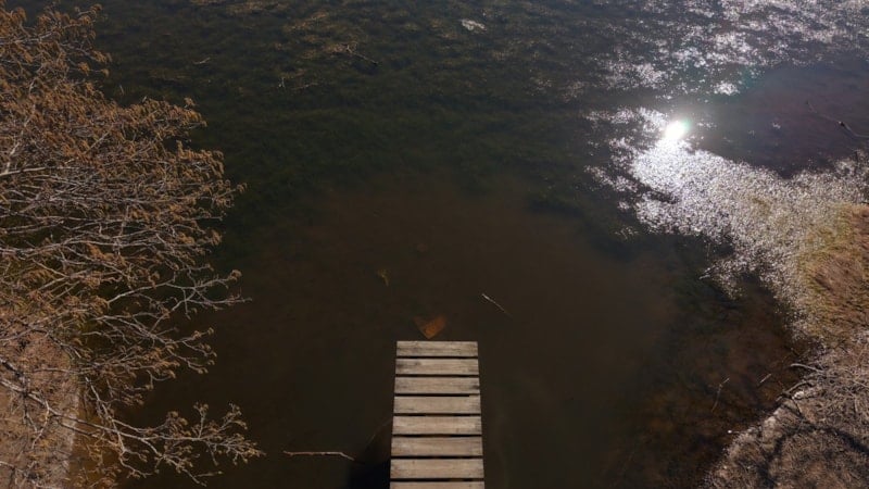 Karacabey Longozu’nda Su Seviyesi Yeniden Yükseliyor: Ekolojik Denge Geri Geliyor
