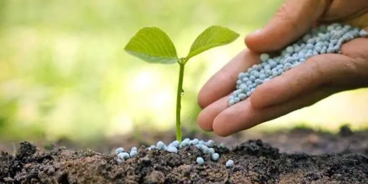 Gübre Vergi Düzenlemesiyle Tarımsal Girdi Tedariki Güçlendirme