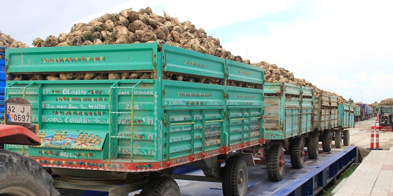 FAO Mart Dünya Gıda Fiyat Endeksi ve Tahıl Görünümü: Enerji Güncel Faktörler ve Üretim Riskleri