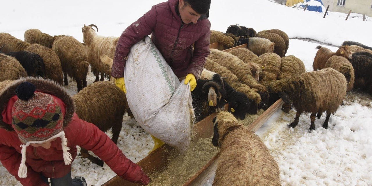 Nisan karı üreticiyi vurdu
