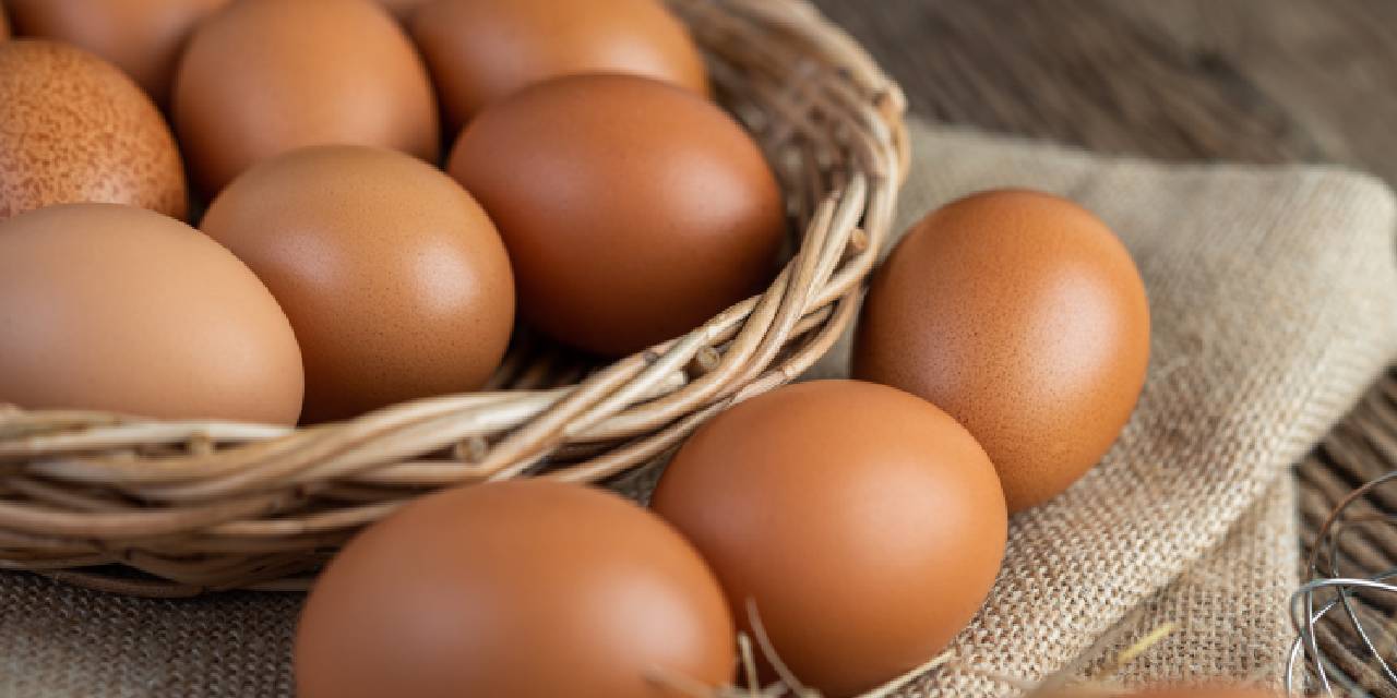 TÜİK 2026 Şubat Kümes Hayvancılığı Üretim Raporu: Yumurta ve Tavuk Eti Üretiminde İlk İki Ay Parlak, Şubat'ta Durgunluk