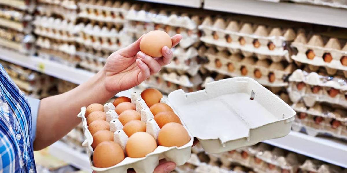 TÜİK 2026 Şubat Kümes Hayvancılığı Üretim Raporu: Yumurta ve Tavuk Eti Üretiminde İlk İki Ay Parlak, Şubat'ta Durgunluk