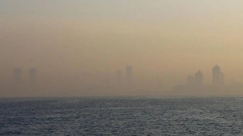 Hava Kirliliği ve Ekonomiye Yansıması: Türkiye için Kritik Veriler ve Talepler